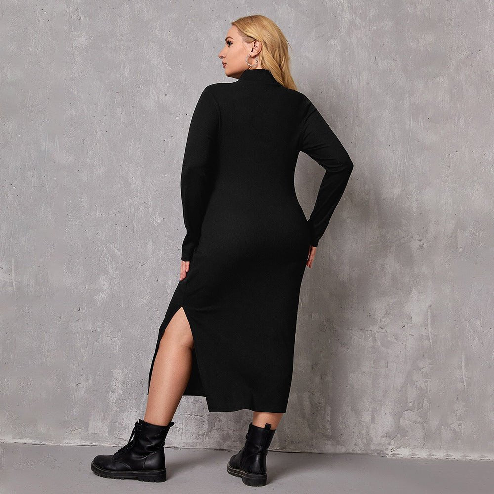 Curvy Women Intellectual Dress with Turtleneck - TayDiane