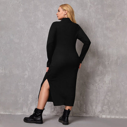 Curvy Women Intellectual Dress with Turtleneck - TayDiane