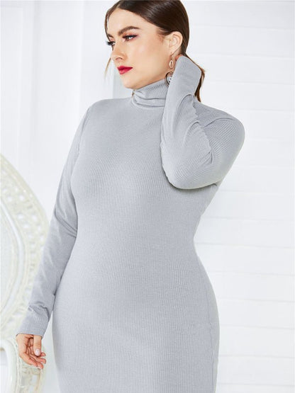 FF Knit Turtleneck Long Sleeve Dress - TayDiane