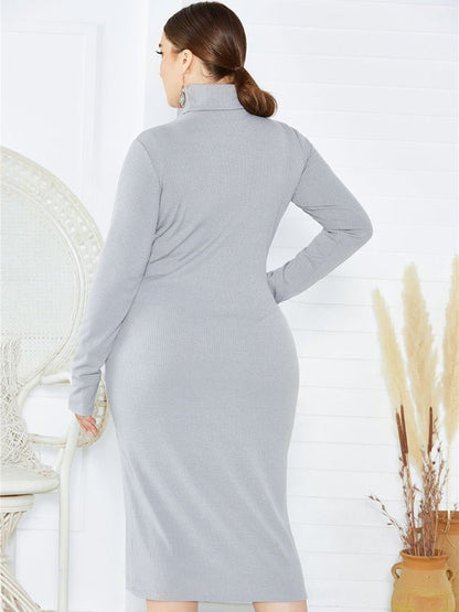 FF Knit Turtleneck Long Sleeve Dress - TayDiane