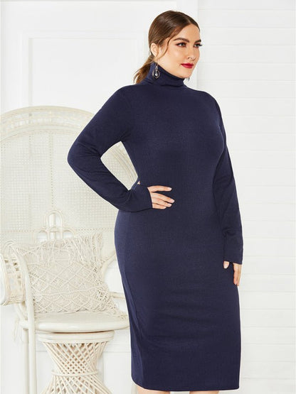 FF Knit Turtleneck Long Sleeve Dress - TayDiane