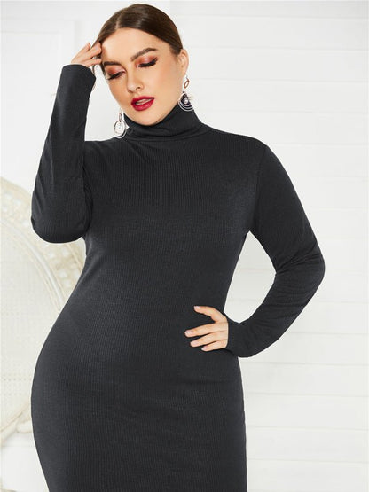 FF Knit Turtleneck Long Sleeve Dress - TayDiane