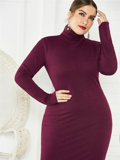 FF Knit Turtleneck Long Sleeve Dress - TayDiane