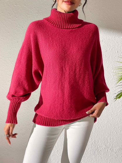 Turtleneck Long Sleeve Sweater - TayDiane