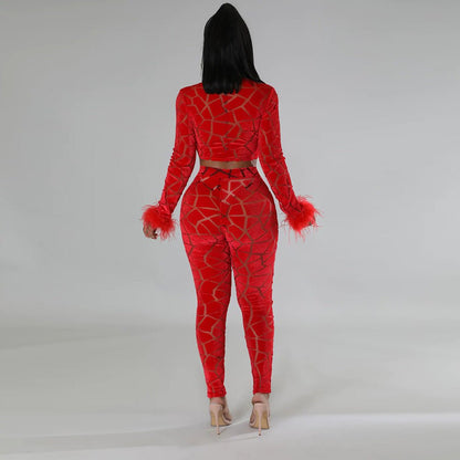 Two - Piece Sheer Crop Top with Leggings - TayDiane